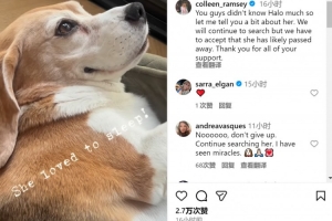 拉姆塞夫婦談愛(ài)犬失蹤：會(huì)繼續(xù)尋找，但不得不接受狗狗可能離世