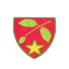 拜仁慕尼黑二隊(duì)
